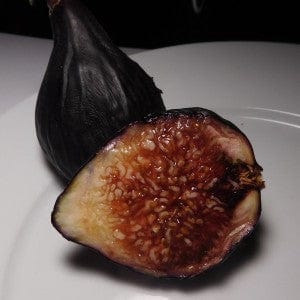 Violette De Bordeaux Fig (Negronne)