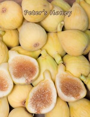  Peter's Honey Fig