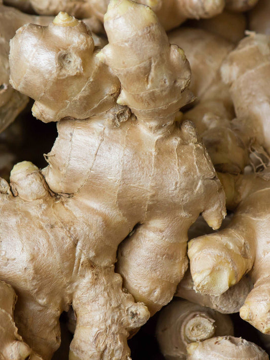  Chinese Yellow Ginger