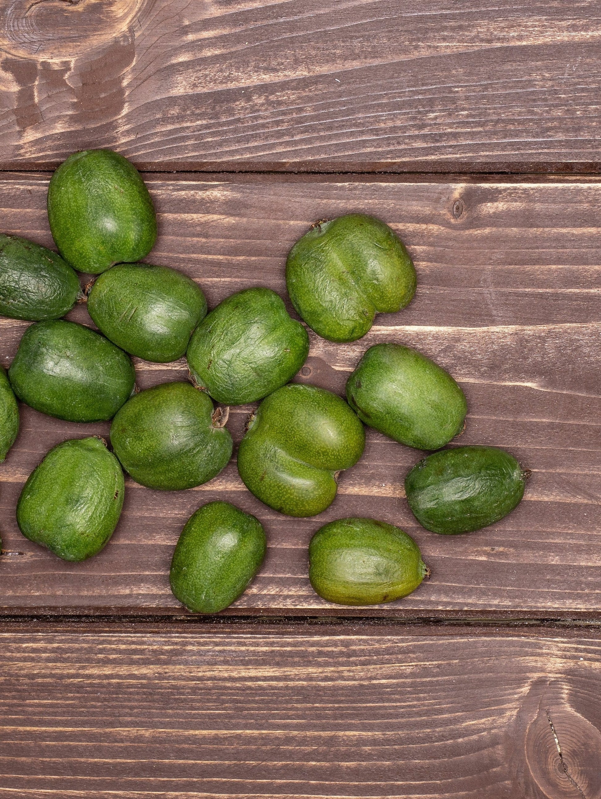  Chang Bai Hardy Kiwi